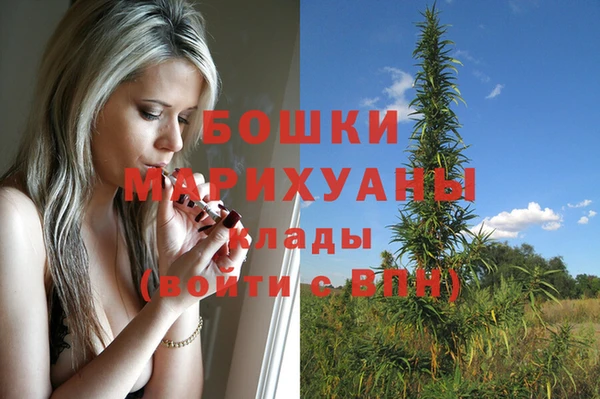 гидропоника Гусиноозёрск