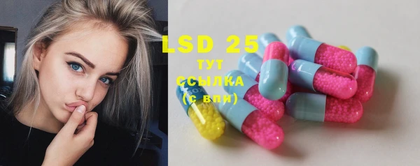 шишки Чердынь