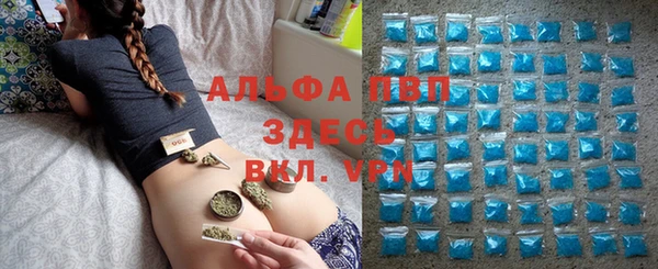 гидропоника Гусиноозёрск
