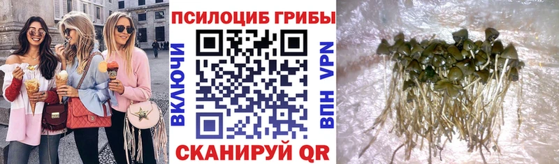 Псилоцибиновые грибы прущие грибы  сколько стоит  Харовск 
