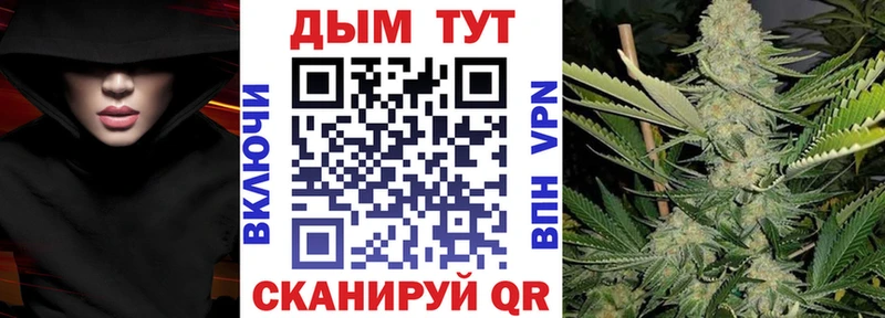Каннабис SATIVA & INDICA  гидра как войти  Харовск  наркота 
